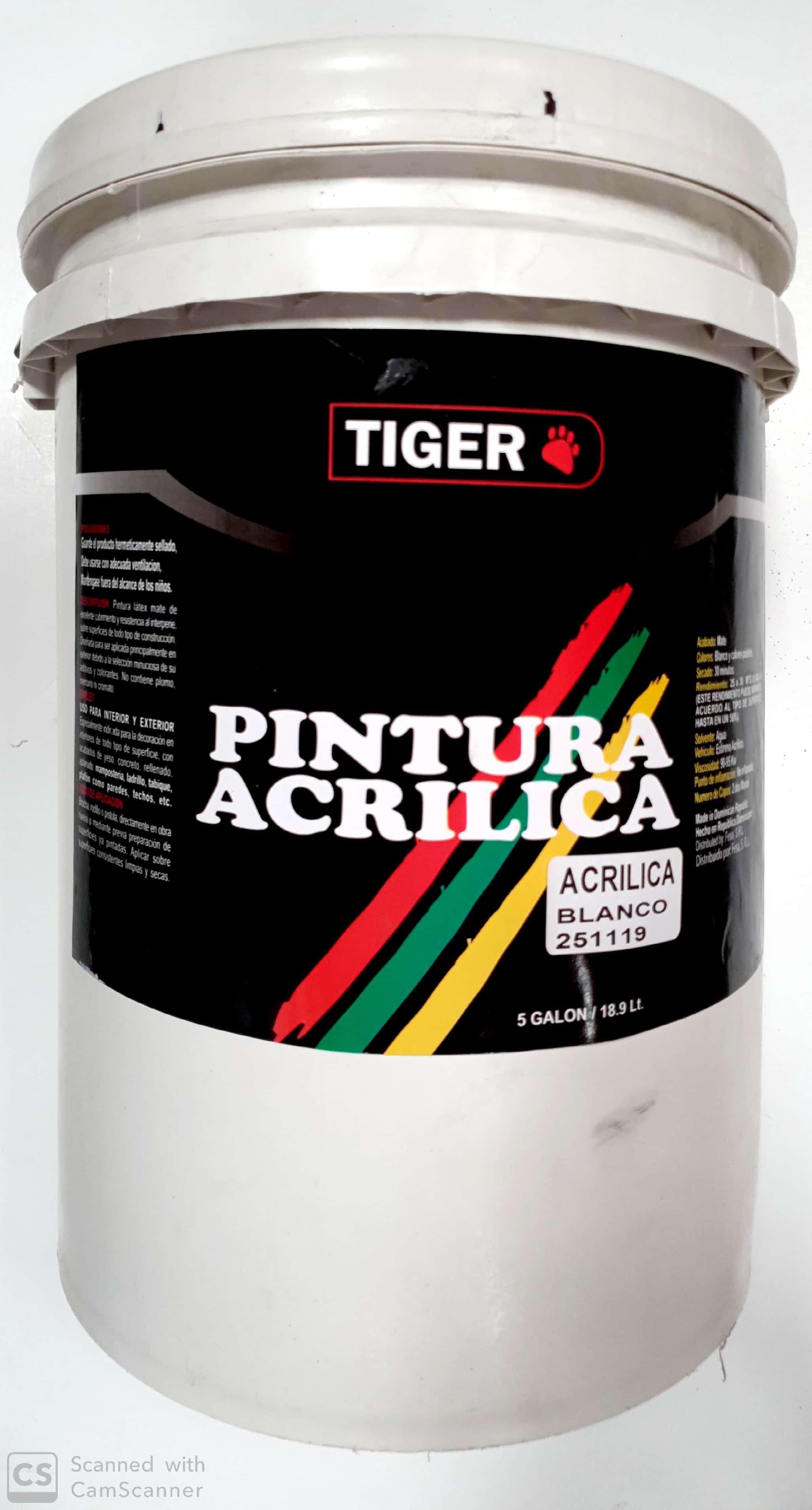 PINTURA ACRILICA BLANCA (PAILA) .