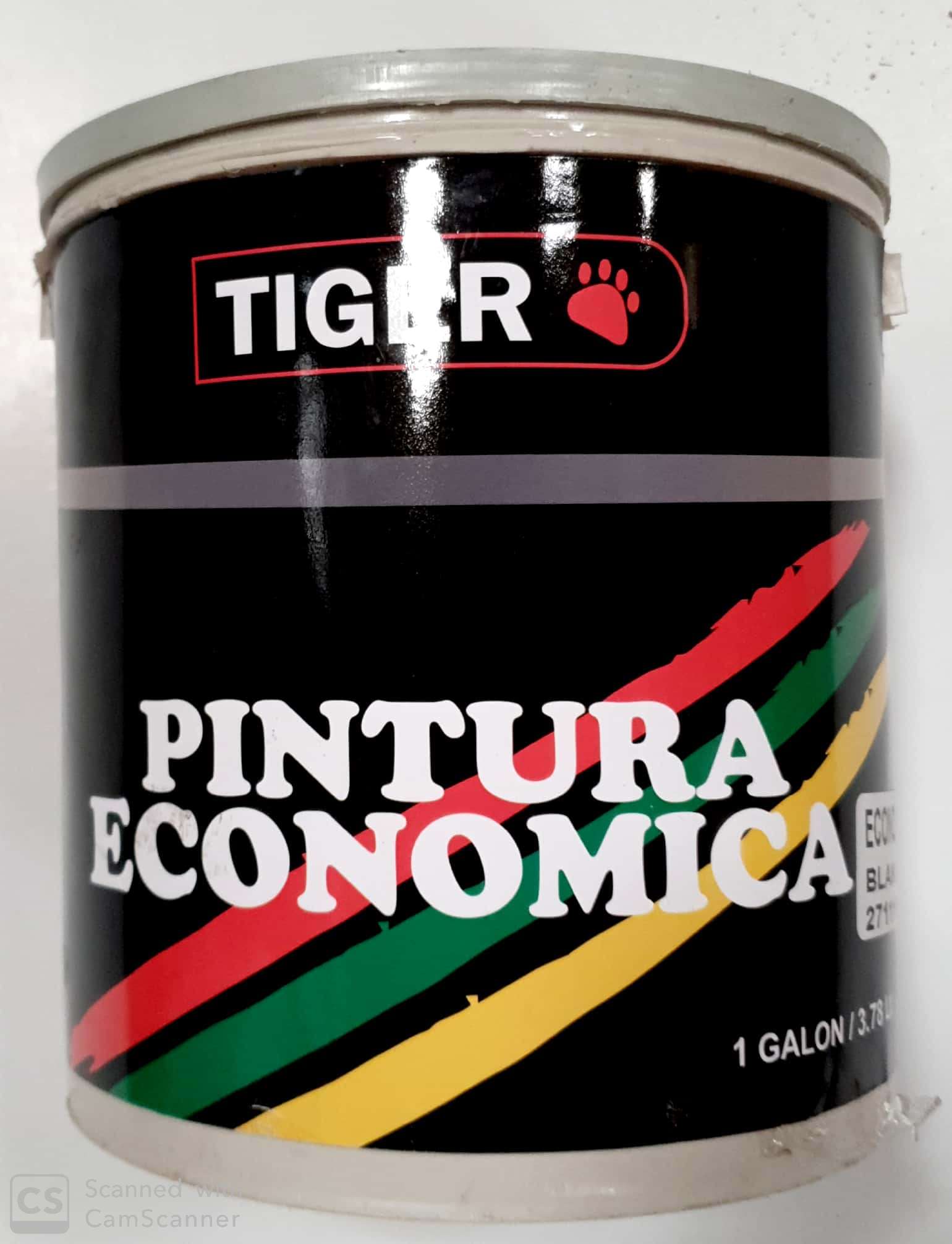 PINTURA ECON. BCO (GL) .