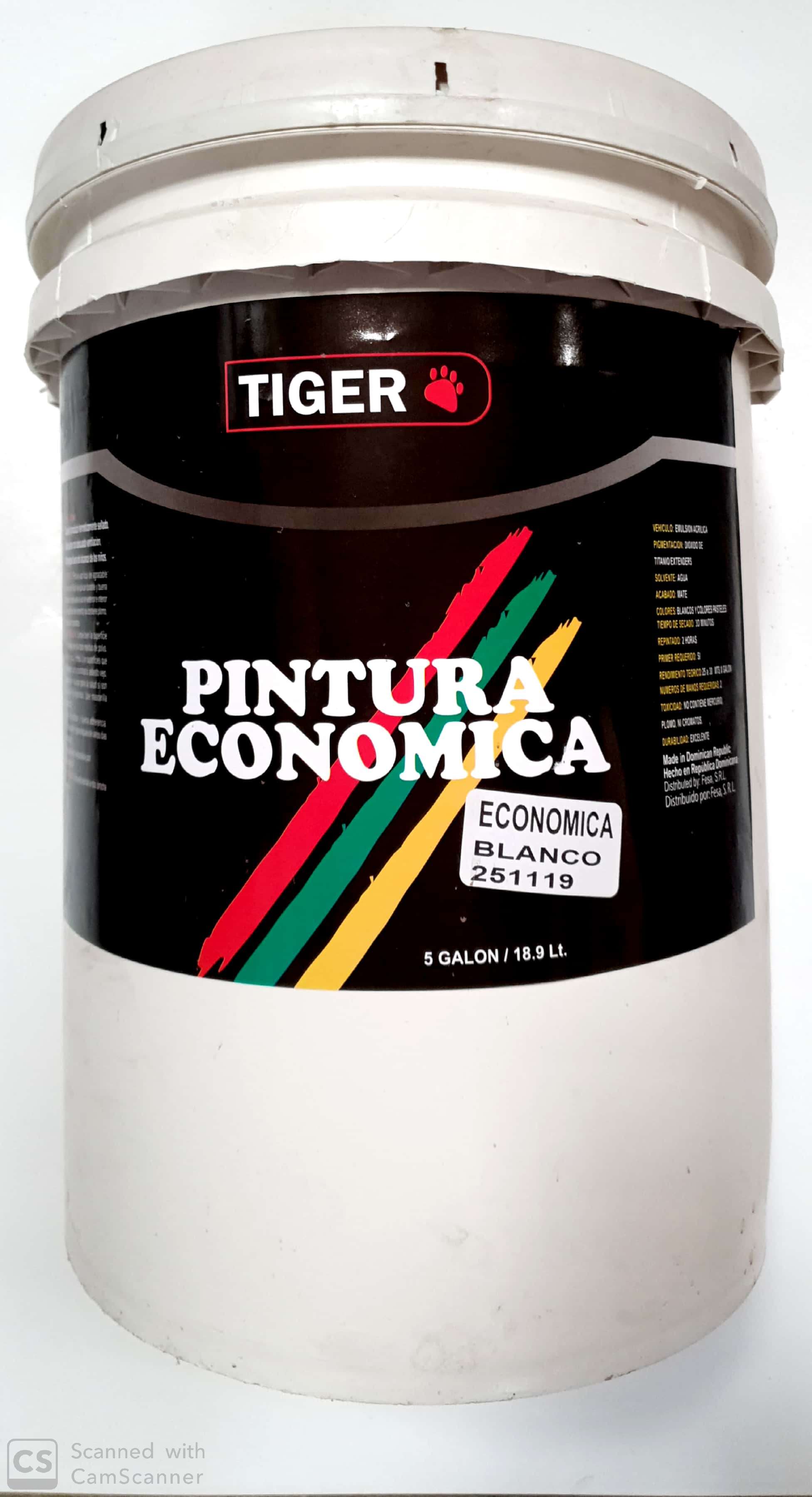 PINTURA ECON. BCO (PAILA) .